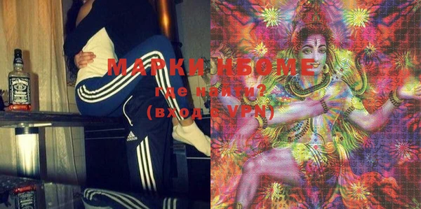 индика Бугульма