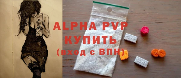 индика Бугульма
