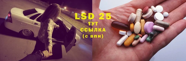 индика Бугульма