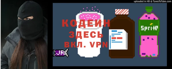 индика Бугульма