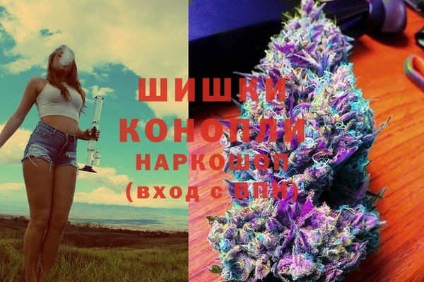 индика Бугульма