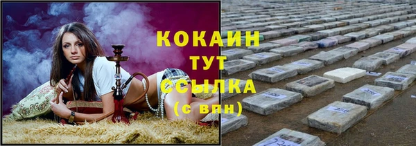 индика Бугульма